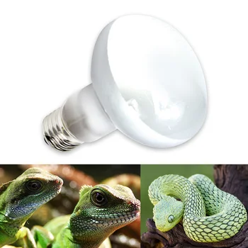 הנורה צבים, לטאות, מנורת חימום דו-חיים מנורת טמפרטורה נורות מתחמם בקר אור זוחל